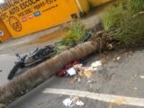 Tragédia: Palmeira de 6 metros cai e atinge motoqueiro na cabeça; vítima fazia delivery e morreu no local